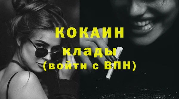 гашик Арсеньев