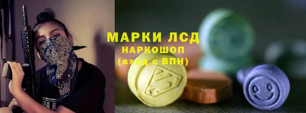 гашик Арсеньев