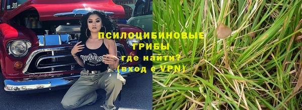 эйфоретик Аркадак