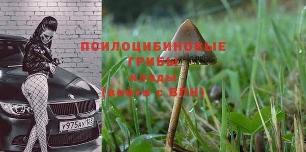 прущие крисы Армянск