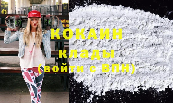 гашик Арсеньев
