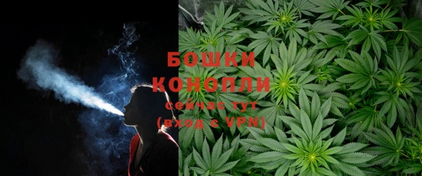 соль ск Балахна