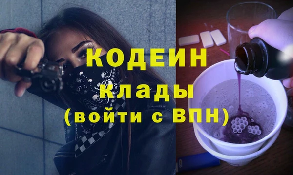 гашик Арсеньев