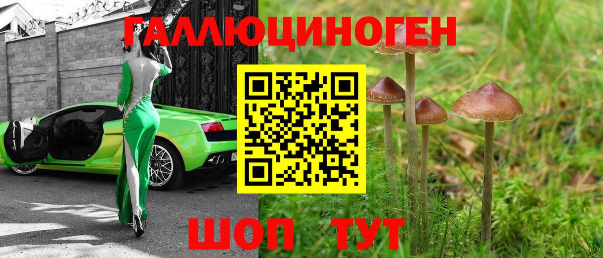 Псилоцибиновые грибы мухоморы Соль-Илецк