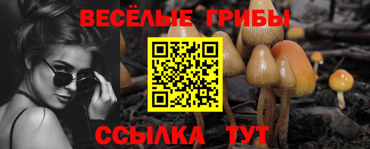 Галлюциногенные грибы Psilocybe  Вход с VPN  где можно купить наркотик  Соль-Илецк 